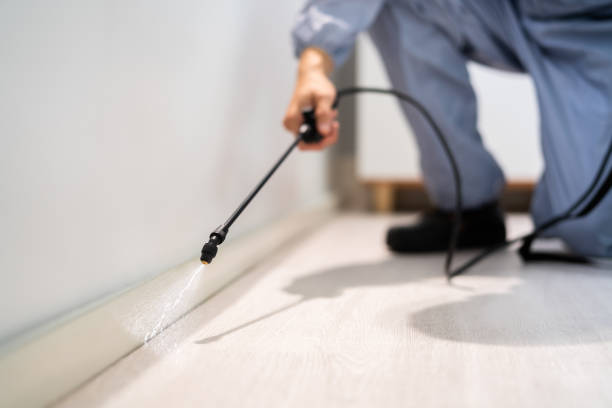 Licensed Rodent Control service in Ironton, MO - Nex Pest Control