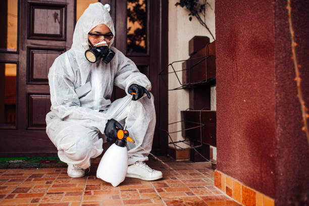 Reliable Rodent Control contractor in Ironton, MO by Nex Pest Control