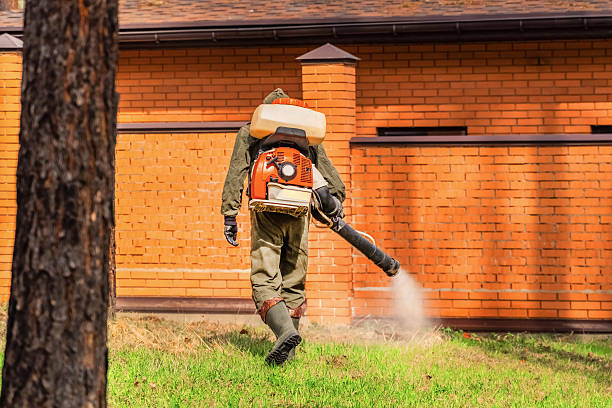 Trusted Bed Bug Control service in Ironton, MO - Nex Pest Control